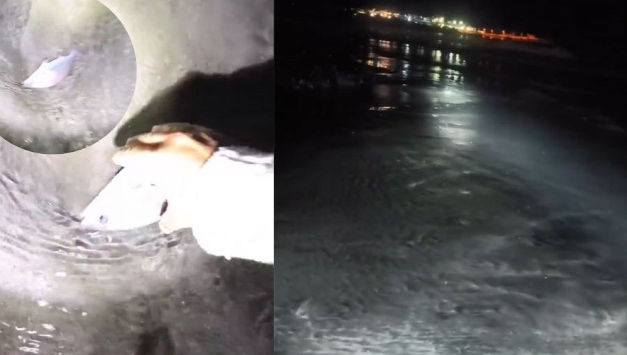 /irresponsabuilidad-total-graban-video-en-playa-durante-fuerte-recogida-de